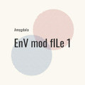 Env Mod File 1