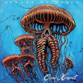 Ocean Harvest