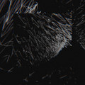ABY010 | REFRACT