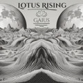 Lotus Rising