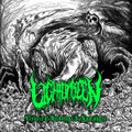 Visions of Archetype and Apocalypse