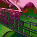 Mandolin Summer