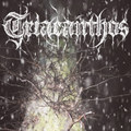 Crimson Winter EP