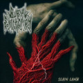 Slain Lamb
