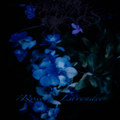 rose / lavender