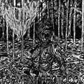 TORMENT PROTOCOL