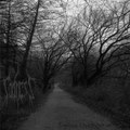 fading days away...