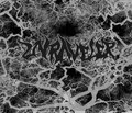 S/T LP