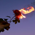 Into The Fire