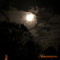 Immure