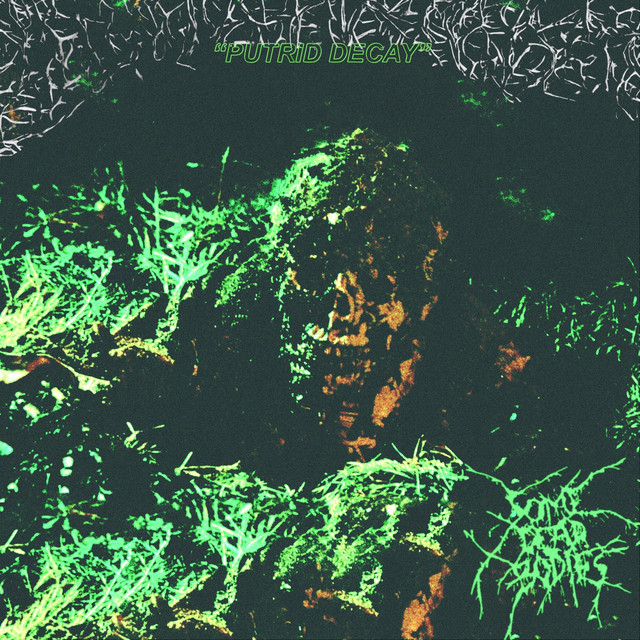 Purtid Decay