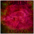 RXGVX