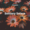 Solitary Solace