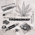 The Anatomy of Thunderkief