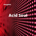 Acid Soul