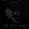 The Black Forest